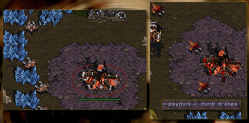 Some "dumb drones" getting "maynarded" and "cloned" =]