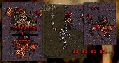 sz sz sz sz = pumping Zerglings