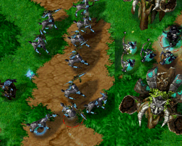 report24.gif