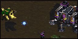 He also has a fetish with your mom jokes, and cybersex