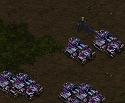 There are wolves among the sheep... Those are some mighty big sheep...
