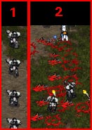 marines got so much blood in them