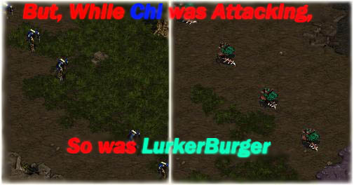 Lurker's on the move