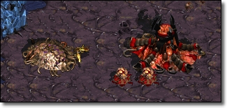 My Probe attacks a Sunken Colony.