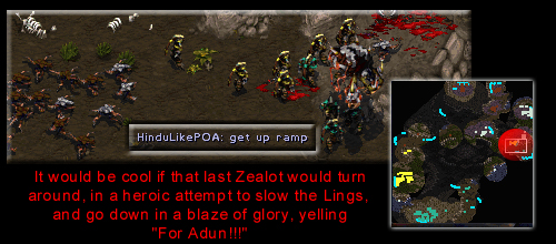 Unfortunately for my report, he didn't. The coward.