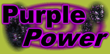 I wish I knew what the deal with purple was.. Then I'd be a cool kid. Oh well, atleast I know what gosu means.