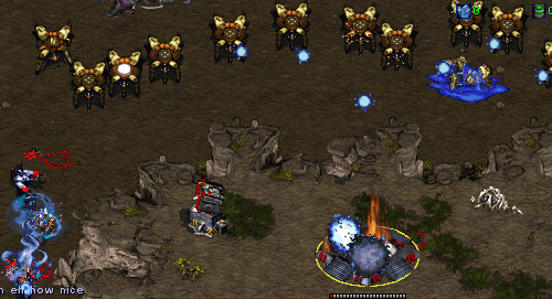 Now that's one brave SCV.