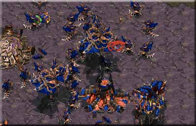 Blue's hydralisks and Queens, but this is only a fraction of his army.