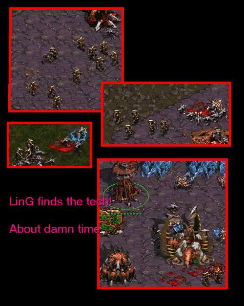 that backdoor really is quite useful for toss here, so they'll probably remove it in 1.09 :(