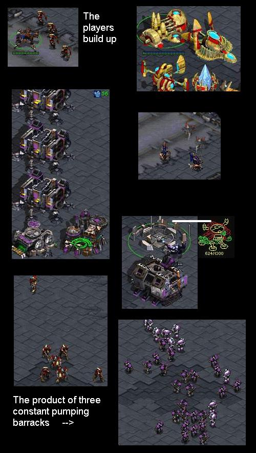 Remember, you own starcraft, its a game, it doesn't own you or your life -unknown