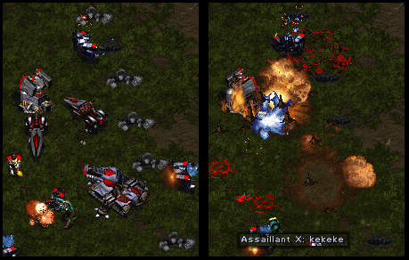 Note what killed the only lurker that died.
