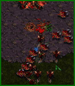 You can always count on hydras!
