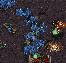 ZerG~LinG to an afk Avail: Do you want the boot