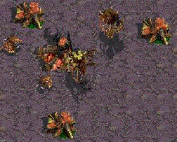 should've been terran : p