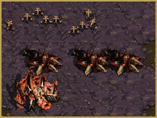Gogo Sunken wall!