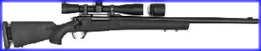 this is one heckuva deer rifle, eh?